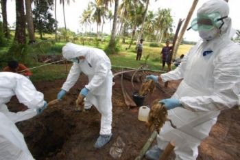 Pasien Susfect Flu Burung Padangpariaman Negatif