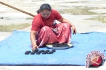 UNDP Perkenalkan Briket Di Sulawesi Tengah 