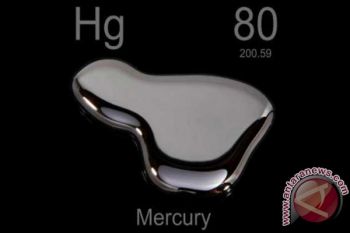 Indonesia's role and commitment in Minamata Convention