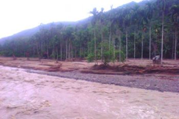 60 Rumah Terendam Banjir Di Rao Selatan Pasaman