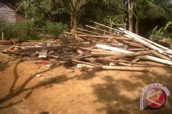 Kerusakan Akibat Angin Kencang Pesisir Barat Didata