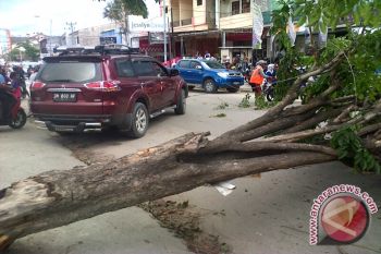 Jalan di Palu Macet Akibat Pohon Tumbang 