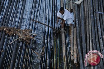 Bambu Palembang laris jelang pilkada