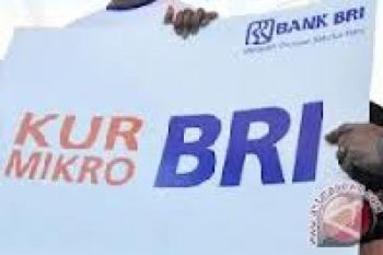 BRI Alokasikan Rp19 Triliun untuk UKM