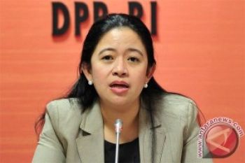 Puan Minta Presiden Tegas di Papua