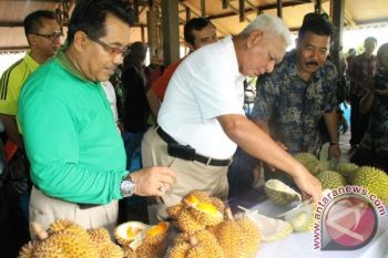 Wisata Makan Buah