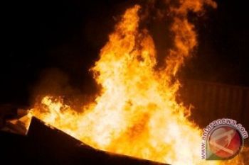  Kantor Pemkot Palopo Dibakar Massa
