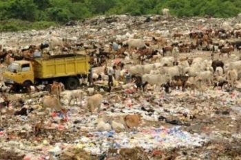 Sistem "Composting" Bisa Kurangi 30 Persen Sampah