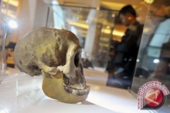 Museum Fosil, Kudus Ajukan Rp12 Miliar ke Pusat