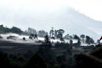 Gas Beracun Mengalir lewat Lembah Kawah Timbang