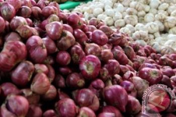 Harga Bawang Masih Naik di Kebumen