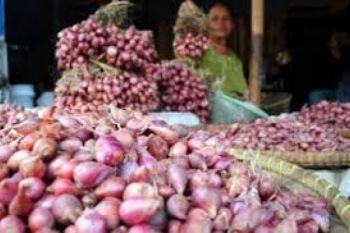 Pengaruh Cuaca, Harga Bawang Merah Beranjak Naik