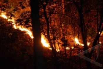 Antisipasi Kebakaran Hutan, BMKG Siapkan Alat Deteksi Suhu