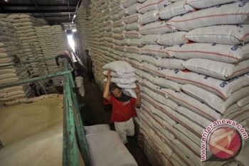 Bulog mulai Beli Gabah Petani
