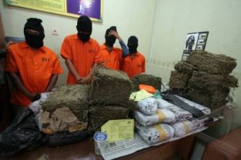 Empat Pengedar Ganja Dibekuk