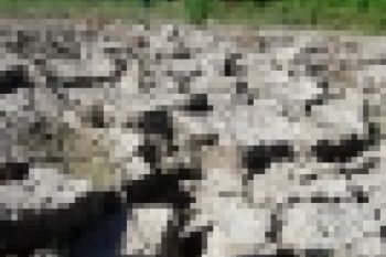 Alam Dan Manusia Faktor Penting Degradasi Lingkungan