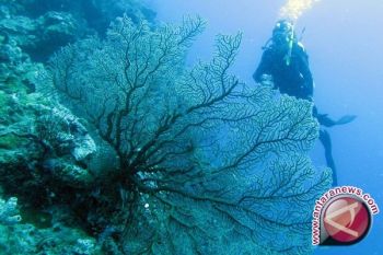Sultra Kembangkan Pariwisata