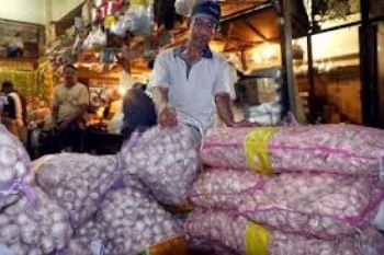 Kenaikan Bawang Putih Disebabkan Pembatasan Impor