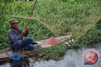 Warga manfaatkan banjir menjaring ikan  
