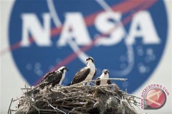 NASA Intai Venus