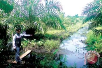 Astaga!!! Air Bahan Baku PDAM Bagendang Diduga Tercemar Limbah Perusahaan Sawit 