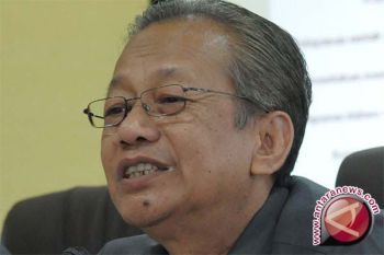Masalah harga daging sapi bukan karena stok 