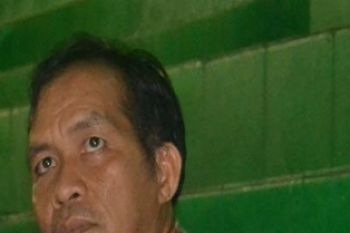 Satwa Anoa Khas Sultra Di Ambang Kepunahan