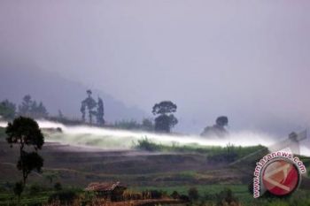 Ratusan rumah rusak akibat gempa Dieng