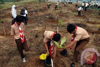 Pemkab Agam Akan Tanam 320.000 Bibit Pohon