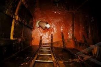 Indonesia Masih Produsen CPO Tebesar Dunia