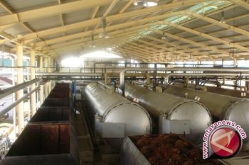 Industri sawit Indonesia masih menghadapi tiga masalah utama