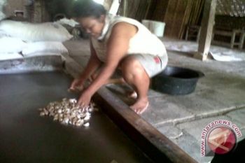 UKM Gunung Kidul terkena dampak kenaikan bawang 