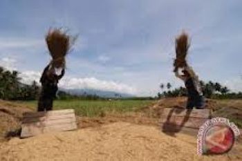 Pemkot Gelar Lomba Ciptakan Alat TTG