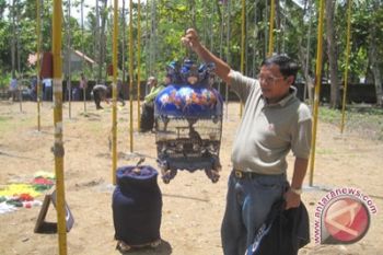 Kulon Progo gelar lomba perkutut tingkatkan perekonomian penangkar 
