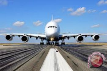 Bentuk tim restrukturisasi utang PT Merpati 