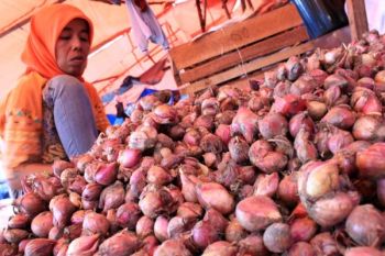 Harga bawang merah di Padang tembus Rp38.000 per kilogram