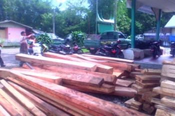 Tim Pengamanan Hutan Temukan Kayu tak Bertuan