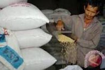 Pemerintah harus Atasi Ketergantungan Impor Pangan