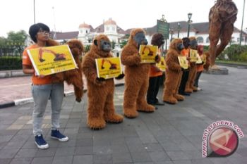Orangutan tolak pembukaan lahan perkebunan sawit 