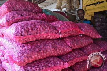 Harga bawang di Bandarlampung naik