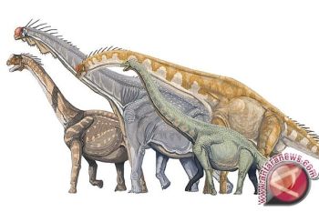 Dinasourus musnah oleh komet, bukan asteroid