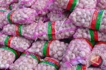 Harga bawang putih di Jambi mulai normal