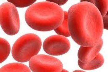40 Persen Wanita Subur Indonesia Alami Anemia