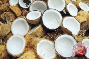 Sulut Ekspor Tepung Kelapa Ke Tiga Benua
