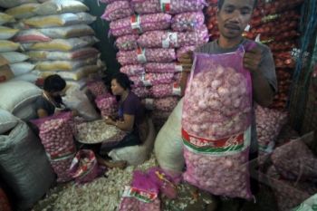 Bawang Sumbang Inflasi 