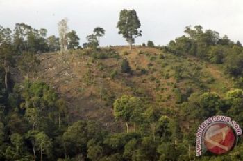 420 Hektare Hutan Sambelia Siap Disertifikasi