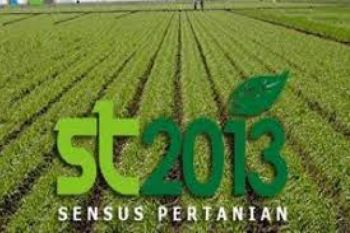 Bupati: Berikan Data Sensus Sesuai Kenyataan Lapangan
