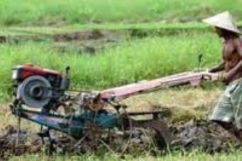 Solar Langka, Petani Kesulitan Garap Sawah