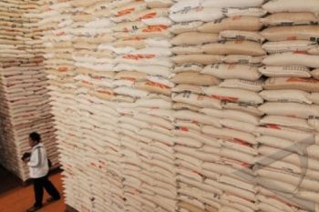 Target Pengadaan Pangan Maret 10.000 Ton