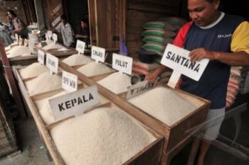 Harga Beras Turun